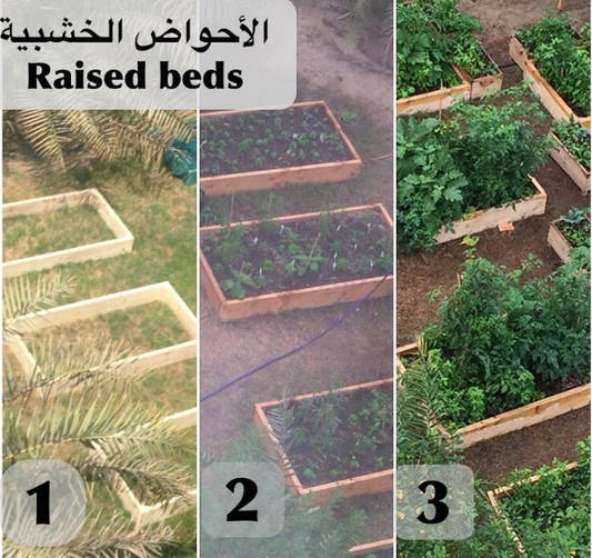 الزراعة في احواض الريزد بد