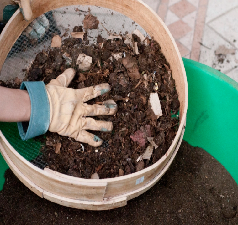 Sifting Compost