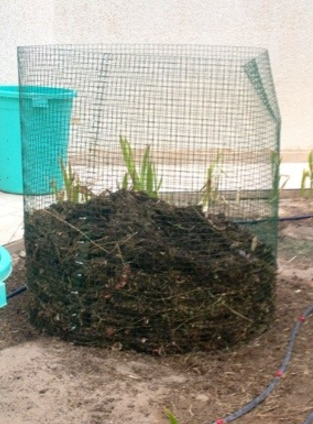 Chicken wire composting