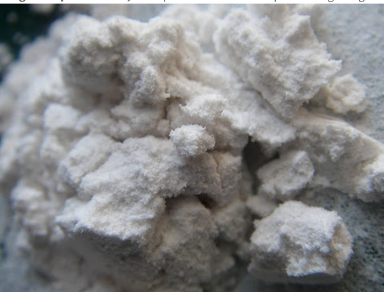 Diatomaceous Earth