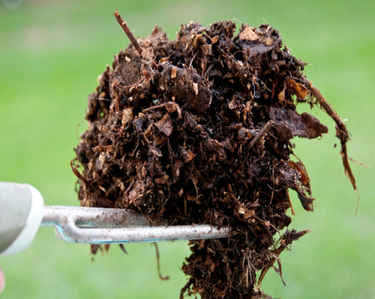 New Compost Batch