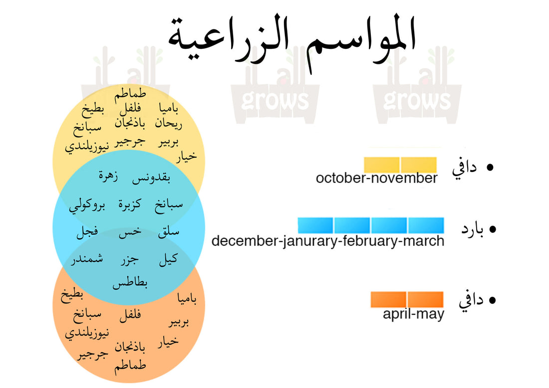 ما هو الموسم الزراعي الفعلي؟