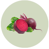 Beet