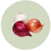 Onion