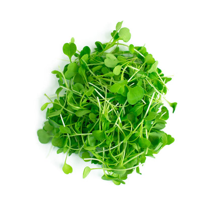 Arugula 114g • ميكروجرين الجرجير - plantnmore