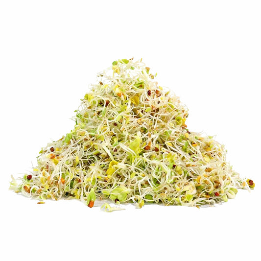 5 Part Salad Mix 110g