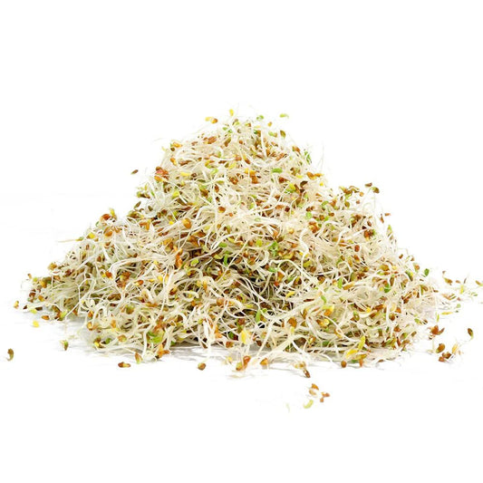 Alfalfa Seeds 110g