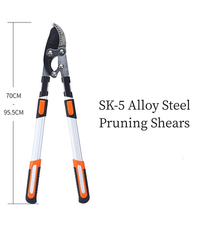 Extendable Branch Cutter