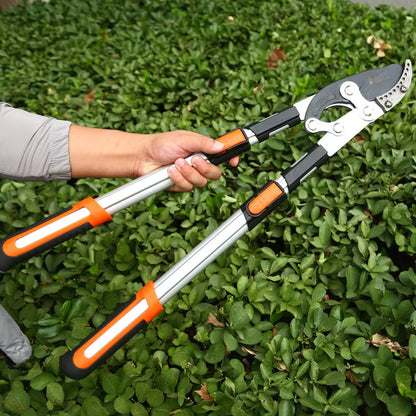 Extendable Branch Cutter