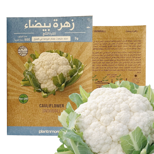 Cauliflower Snowball