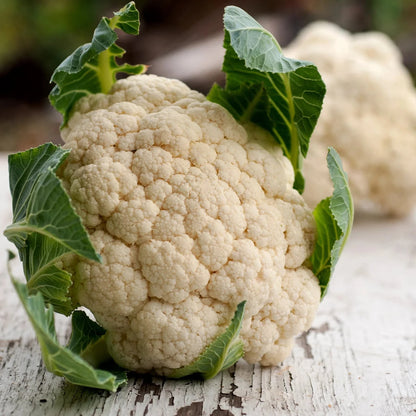 Cauliflower Snowball