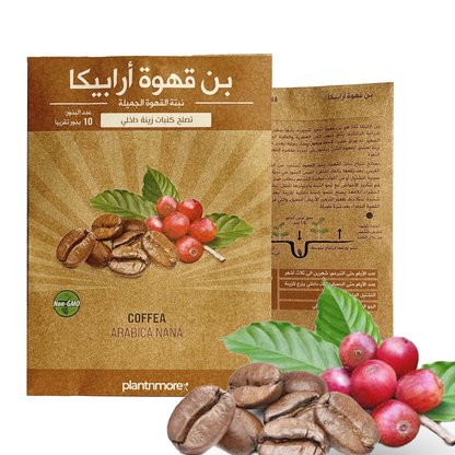 Coffee Arabica Nana