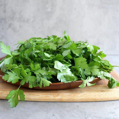 Parsley Italian Flat Leaf