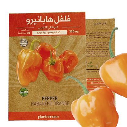 Pepper Habanero Orange