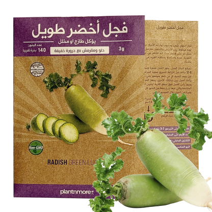 Radish Green Luobo