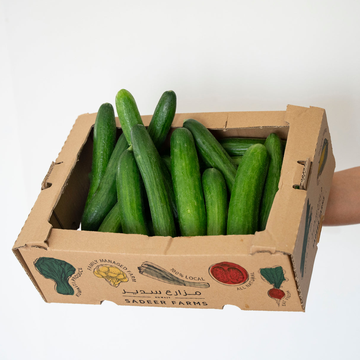 Cucumber Large Box