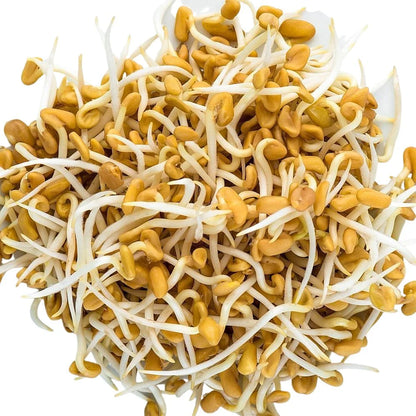 Fenugreek 110g