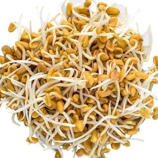 Fenugreek 110g