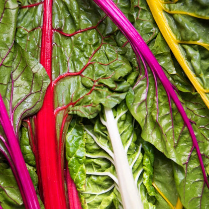 Swisschard Rainbow Mixture