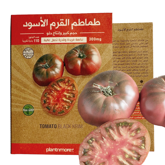 Tomato Black Krim