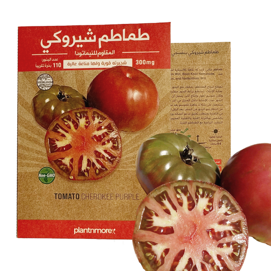 Tomato Cherokee Purple