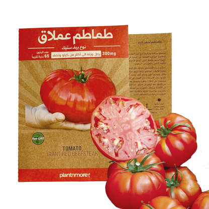 Tomato Giant Red Beefsteak