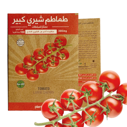 Tomato Large Cherry