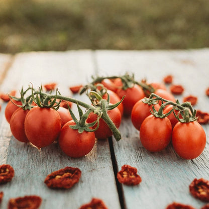 Tomato Principe Borghese