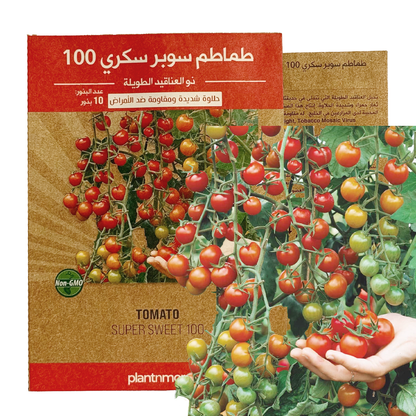 Tomato Super Sweet 100