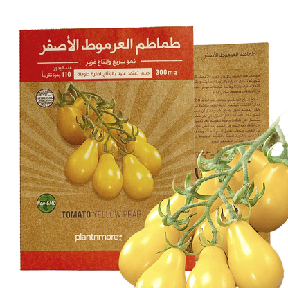 Tomato Yellow Pear