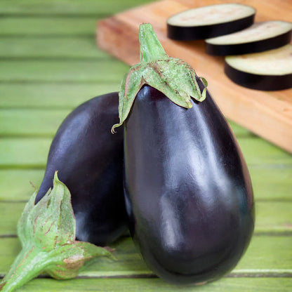 Eggplant Plant Black Beauty