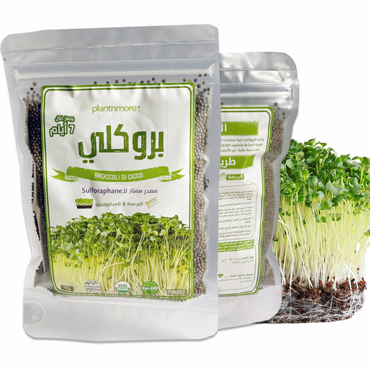 Broccoli Seeds 110g