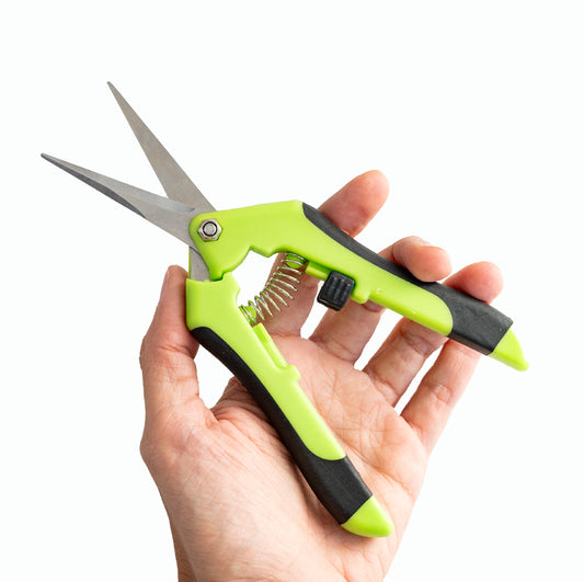 Precise Pruner