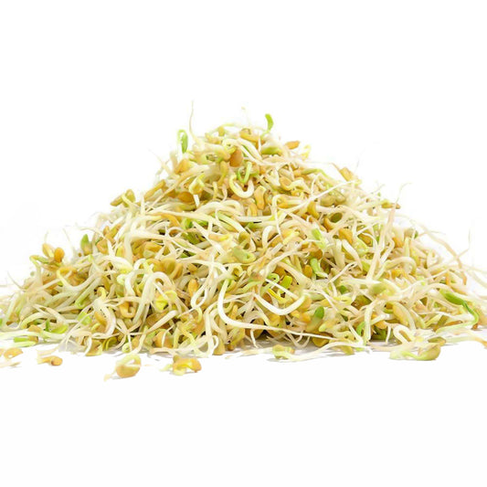 Fenugreek 110g