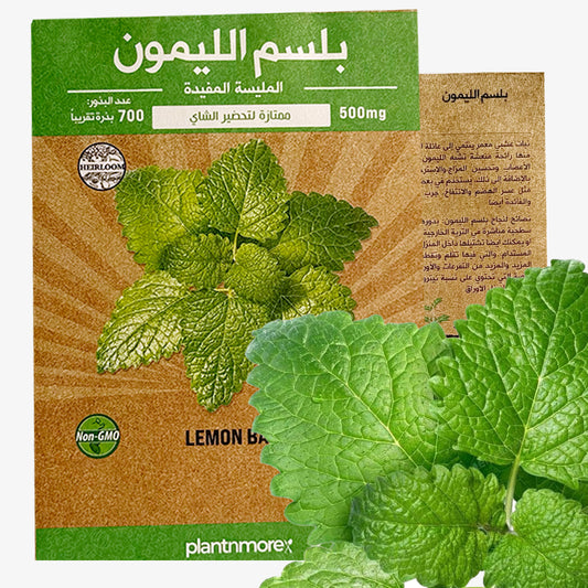 Lemon Balm