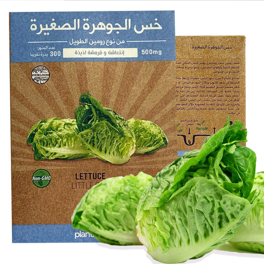 Lettuce Little Gem