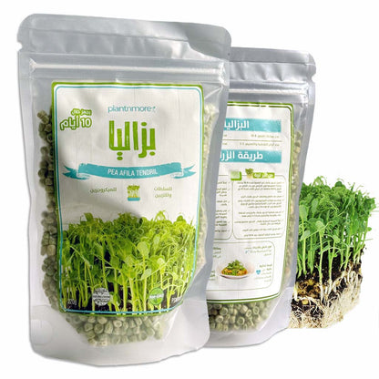 Pea Microgreens Seeds  220g