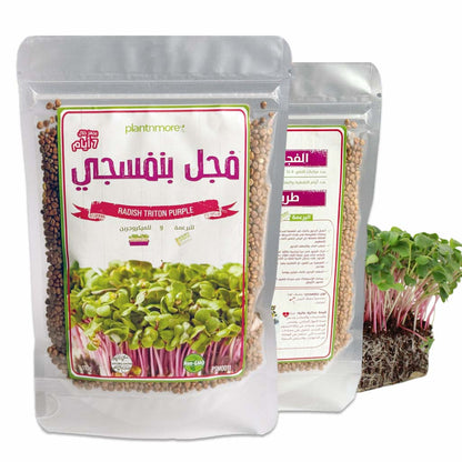 Radish Triton Purple Seeds 110g