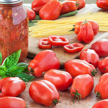 Tomato San Marzano