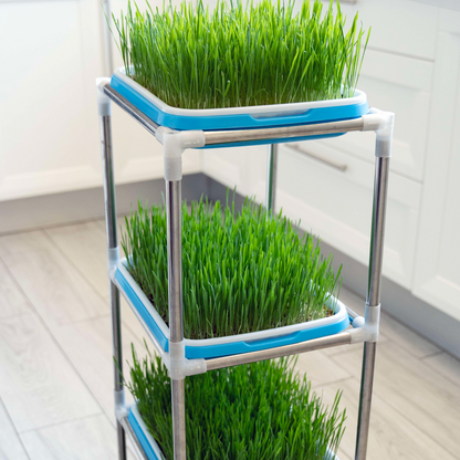 Microgreen Tray & Trolley Set