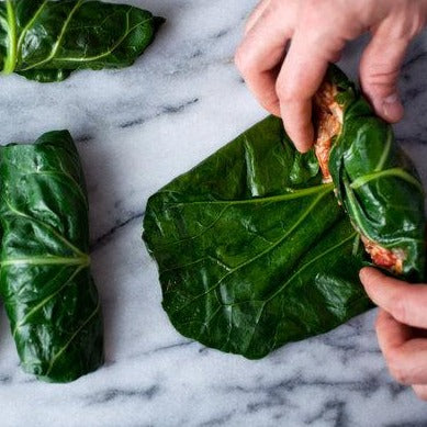 Collards • كولارد - plantnmore