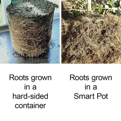 Smart Transplanter ●  حوض التشتيل الذكي - plantnmore