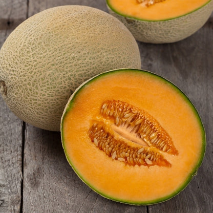 Hales Best Cantaloupe • شمام سكري - plantnmore