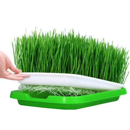 Complete Microgreen Set • طاولة الميكروجرين الشاملة - plantnmore