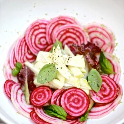 Beet Chioggia • شمندر مخطط - plantnmore