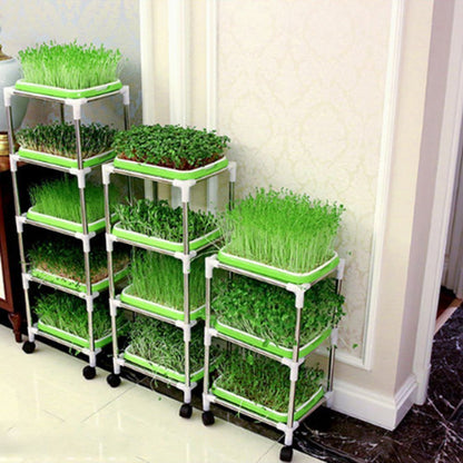 Complete Microgreen Set • طاولة الميكروجرين الشاملة - plantnmore