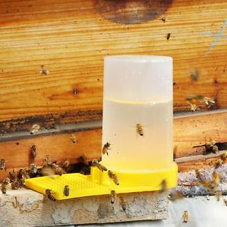 Bee Feeder