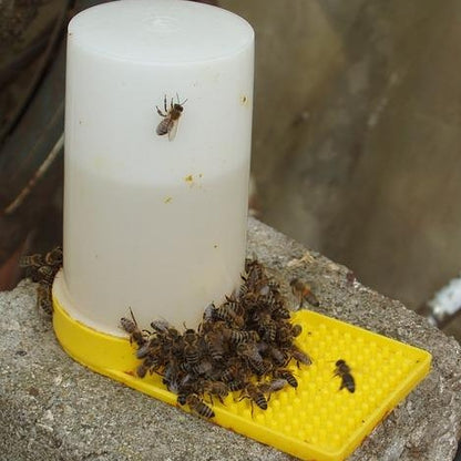 Bee Feeder