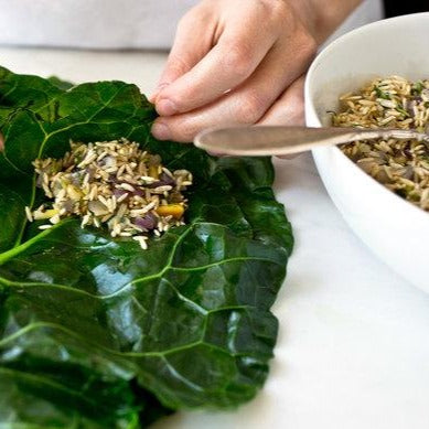 Collards • كولارد - plantnmore