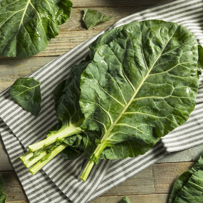 Collards • كولارد - plantnmore